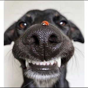 Meet your Posher, Ben